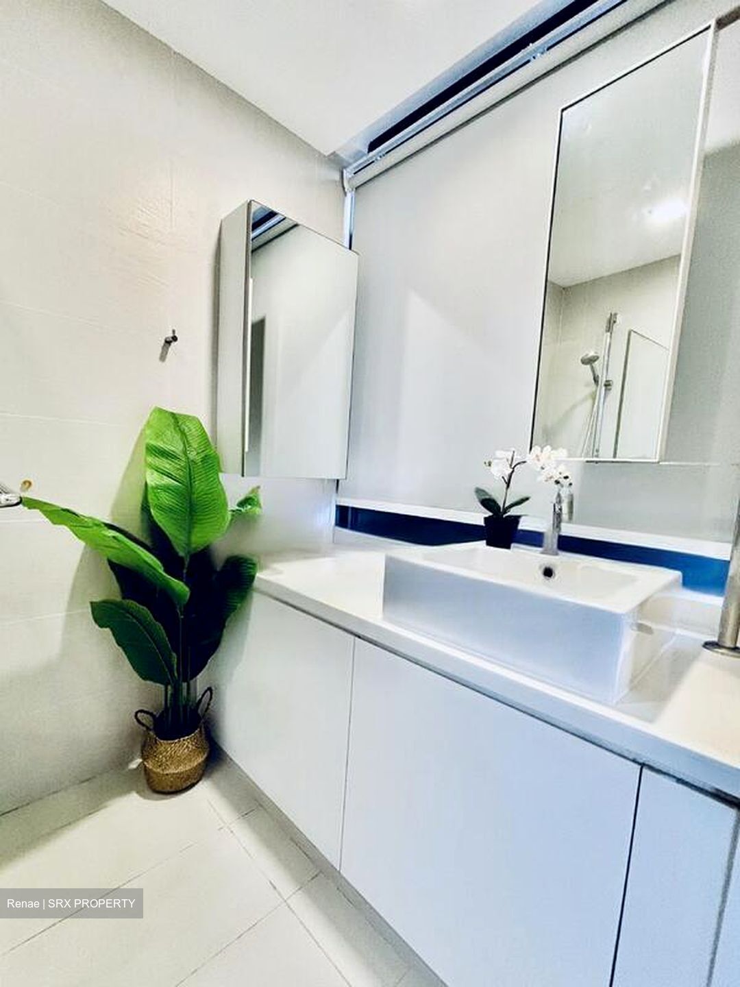 Domus (D12), Apartment #462997721